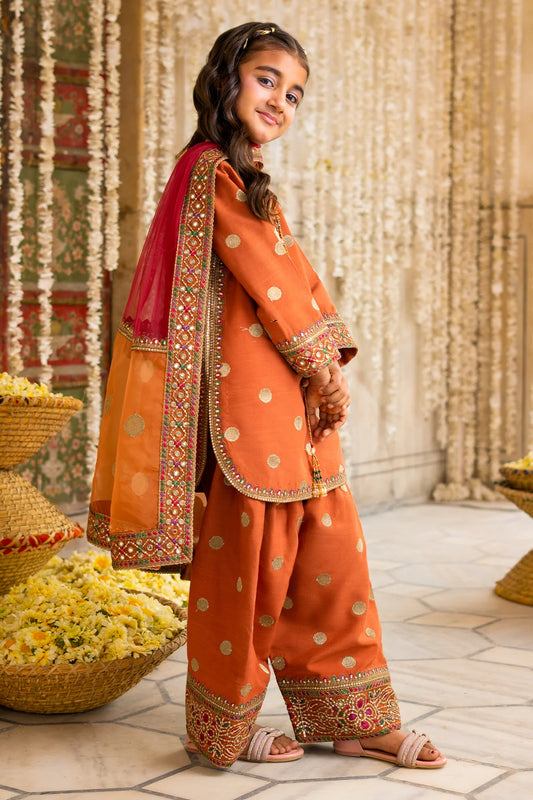 3-PC Embroidered Raw-Silk CKP-6-365 (PRE-ORDER)