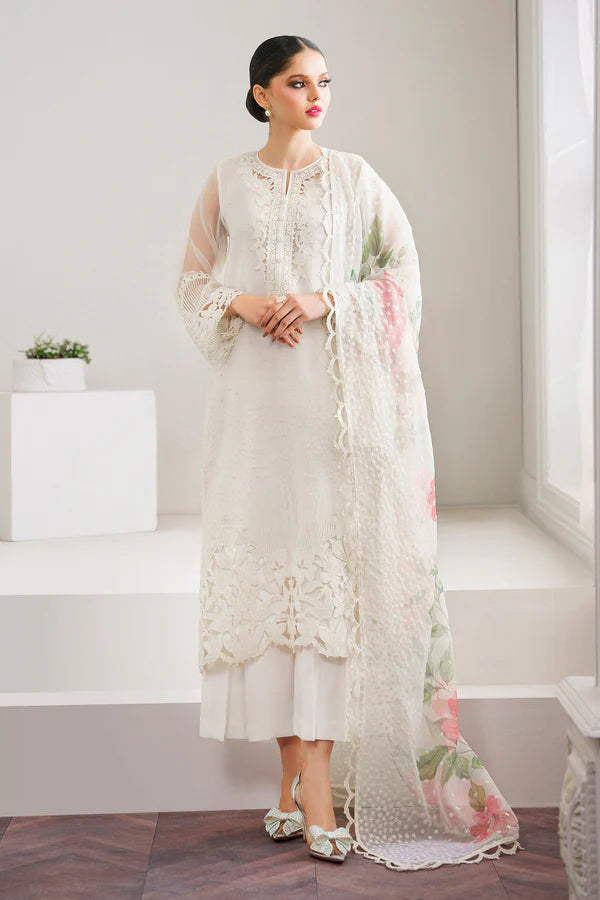 Pakistani Organza Suits & Dresses
