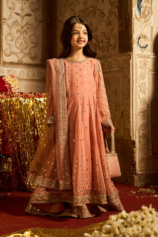 3-PC Embroidered Chiffon Suit CKP-5-186 (Pre-Order)