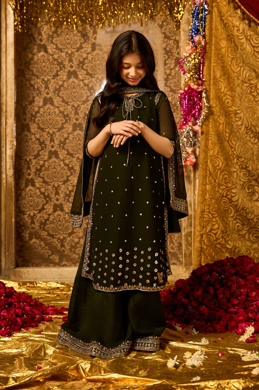 3-PC Embroidered Chiffon Suit CKP-5-201 (Pre-Order)