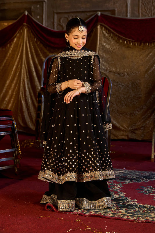 3-PC Embroidered Chiffon Suit CKP-5-181 (Pre-Order)