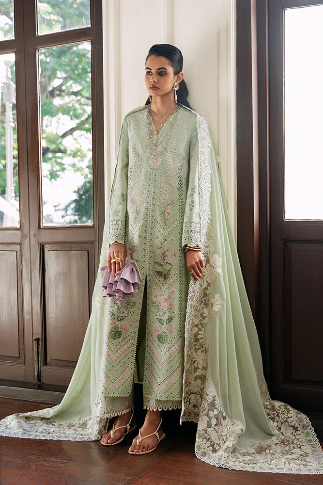 AREEHA – BrandAffection UK