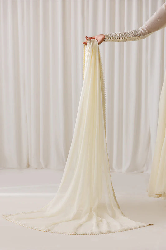 PLAIN CHIFFON DUPATTA-99 (PRE-ORDER)