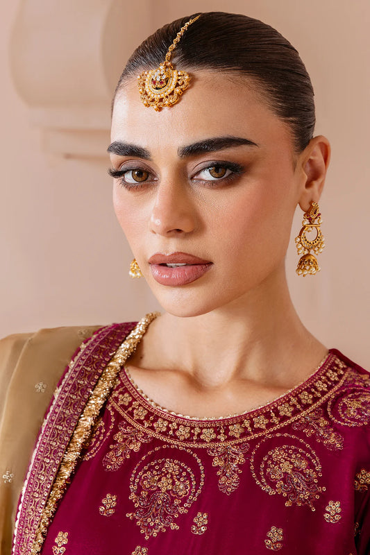 Embroidered Velvet Formal CVF D-11 (PRE-ORDER)