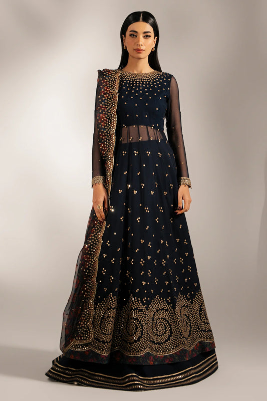 EMBROIDERED CHIFFON UC-3073 (PRE-ORDER)